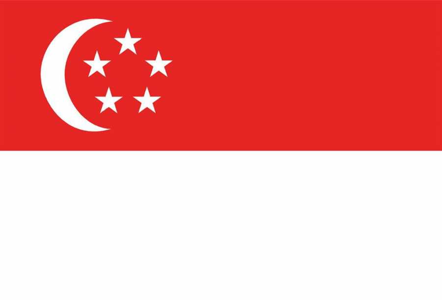 新加坡旅游电子签证